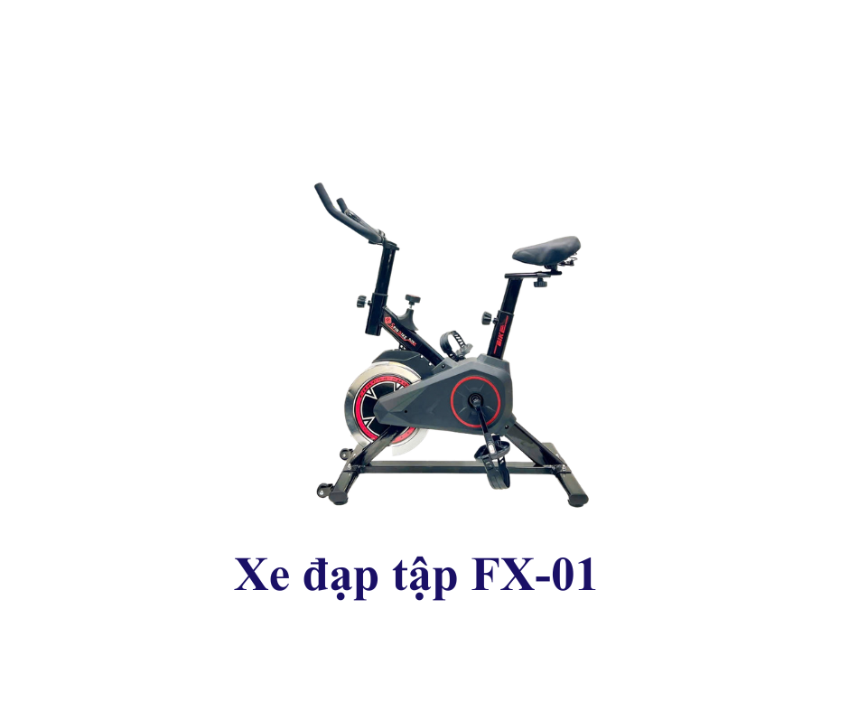 Xe đạp tập FG-01