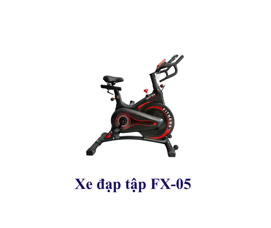 Xe đạp tập xe đạp phòng gym FX-05
